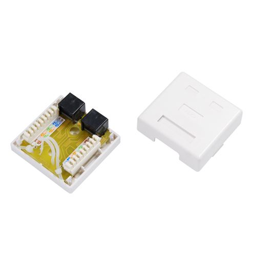 Cat6 Dual Port Floor Mount Terminal