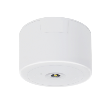 LED Satellite D50 Surface Mount Standalone Integrated Non-Maintained IP20 White